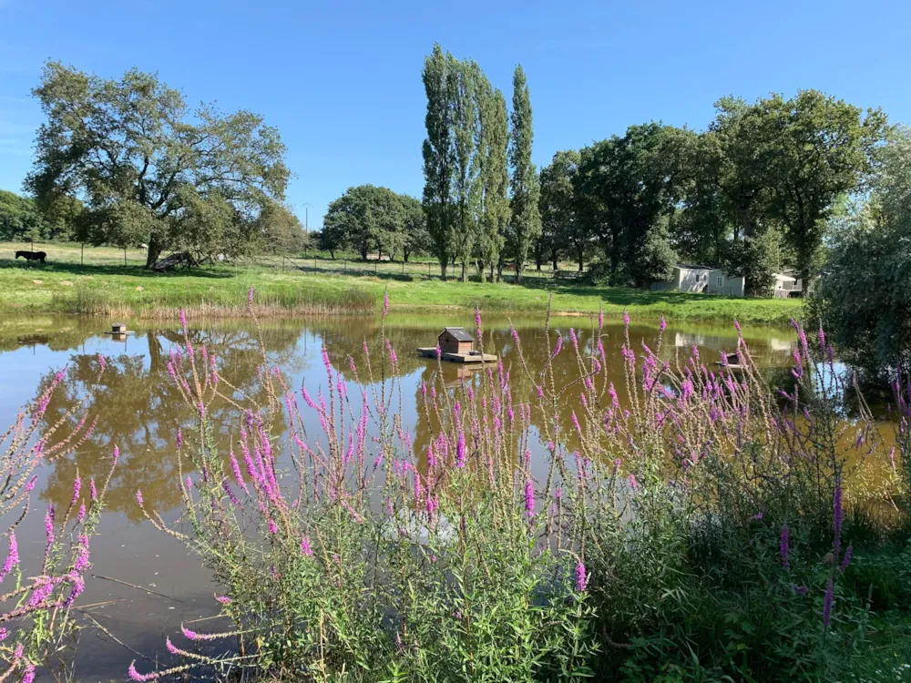 Camping L'Étang du Pays Blanc