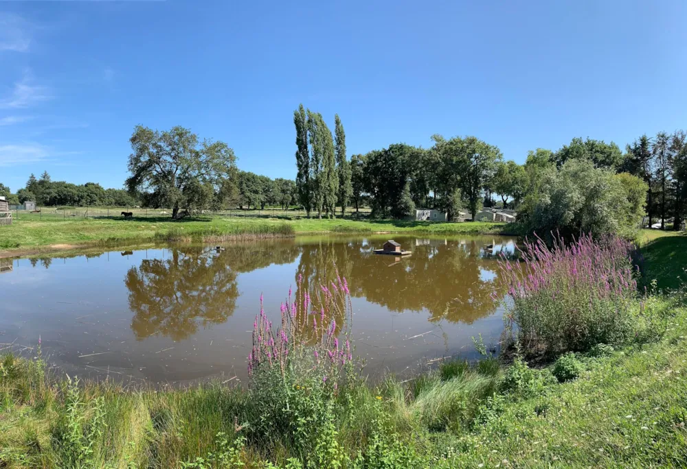 Camping L'Étang du Pays Blanc