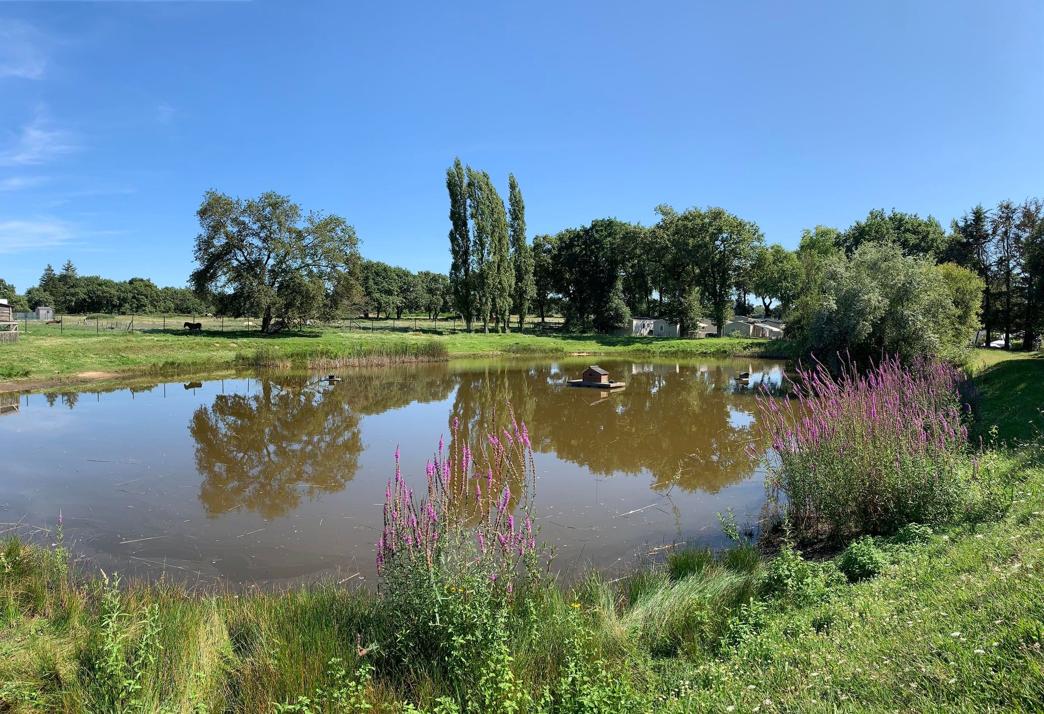 Camping L'Étang du Pays Blanc — Foto 6