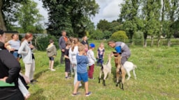 Camping L'Étang du Pays Blanc - image n°5 - Roulottes