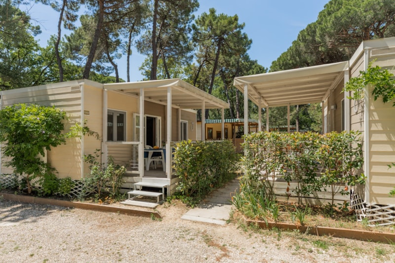 Lodge Deluxe Family Animali Non Ammessi