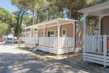 Mietunterkunft - Lodge Superior - Club del Sole Marina Romea Easy Camping Village 