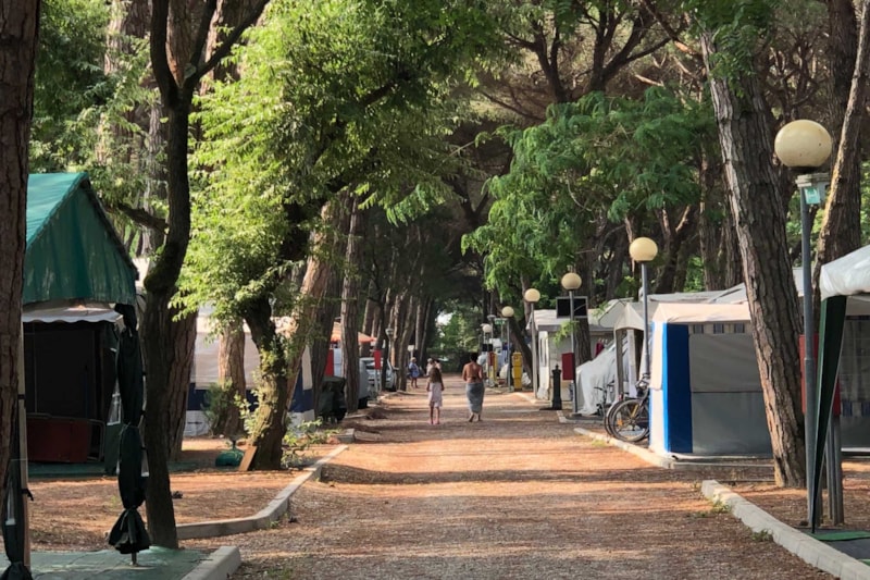 Piazzola Animali Ammessi