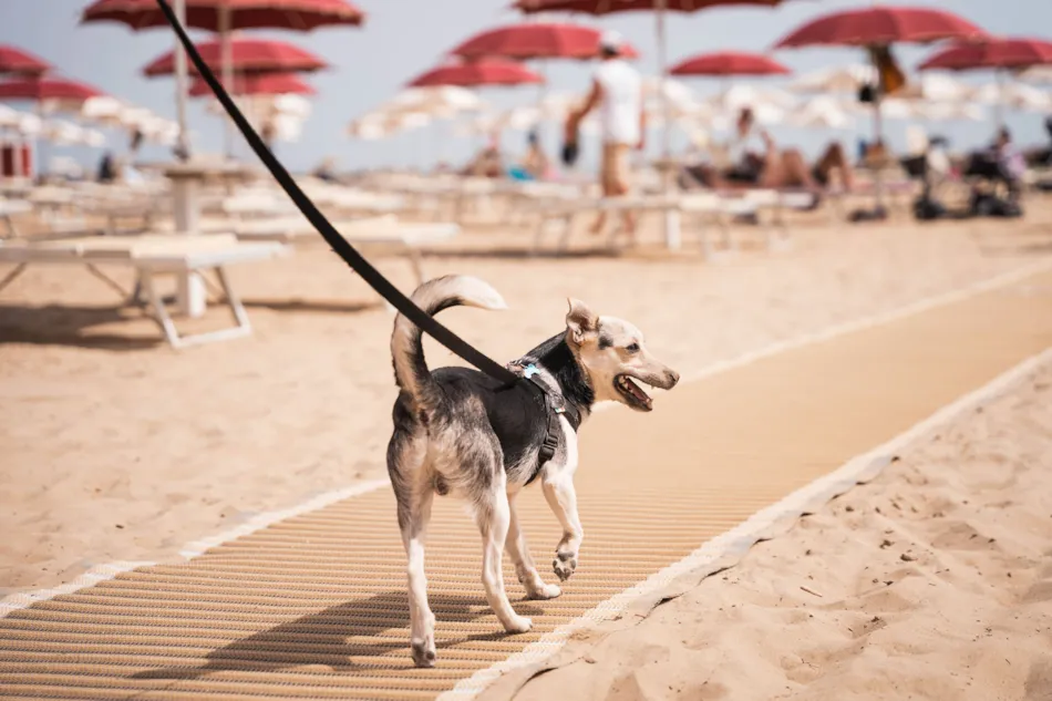 Club del Sole Rimini Family Resort 