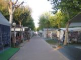 Foto #7 van Camping Villaggio Atlanta  Mediterraneo