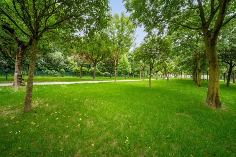 Emplacement Classic 90 m², électricité 10A, wifi (4701-4806)