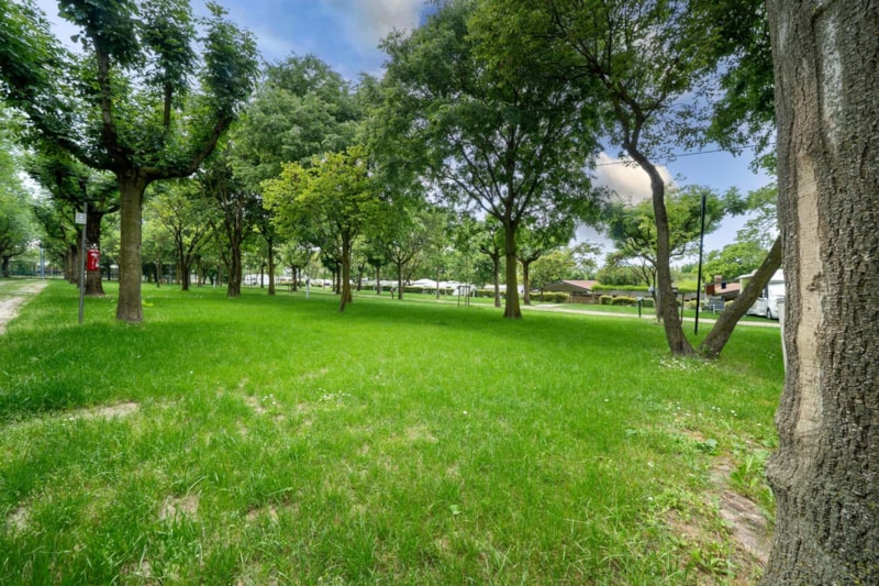 Emplacement Standard 80 - 90 m², électricité 10A (4501-4590)