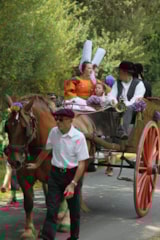 Foto #27 van Camping des Dunes