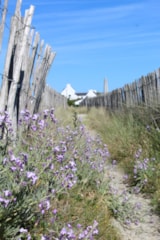 Foto #11 van Camping des Dunes