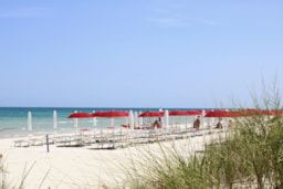 Torre Rinalda Beach Camping & Resort - image n°22 - Roulottes