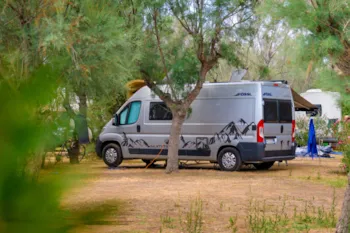 Pitch - Standard Pitch + 4 Amp Electric - Torre Rinalda Beach Camping & Resort
