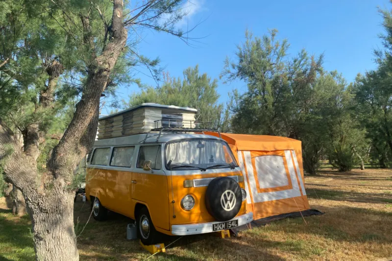 Standard Pitch + 4 Amp Electric