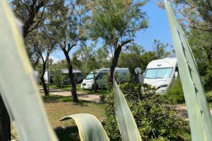 Piazzola Comfort (Acqua E Scarico) + Elettricità 6 Amp