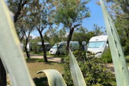 Pitch - Comfort Pitch (Water And Drainage) + 6 Amp Electric - Torre Rinalda Beach Camping & Resort