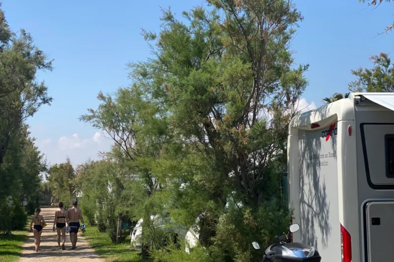 Premium Pitch (With Private Bathroom) + 10 Amp Electric