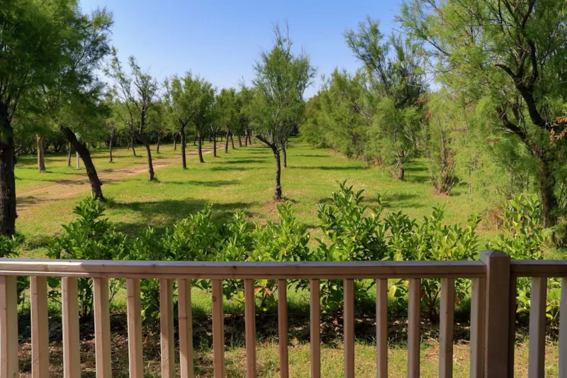 Premium Pitch Xl (With Private Bathroom) + 10 Amp Electric