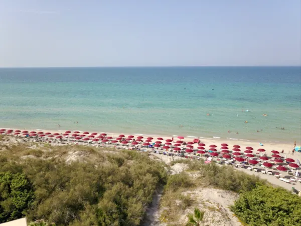 Torre Rinalda Beach Camping & Resort