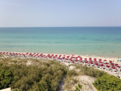 Torre Rinalda Beach Camping & Resort