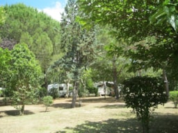 Camping Le Rebau - image n°8 - Roulottes