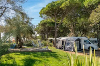 Stellplatz - Meersicht Dog Friendly Stellplatz **** - Sandaya Europa Village