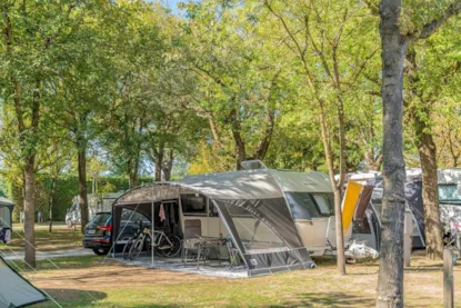 Emplacement Nature Dog Friendly