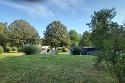 Camping package (pitch, 2 people, 1 vehicle)