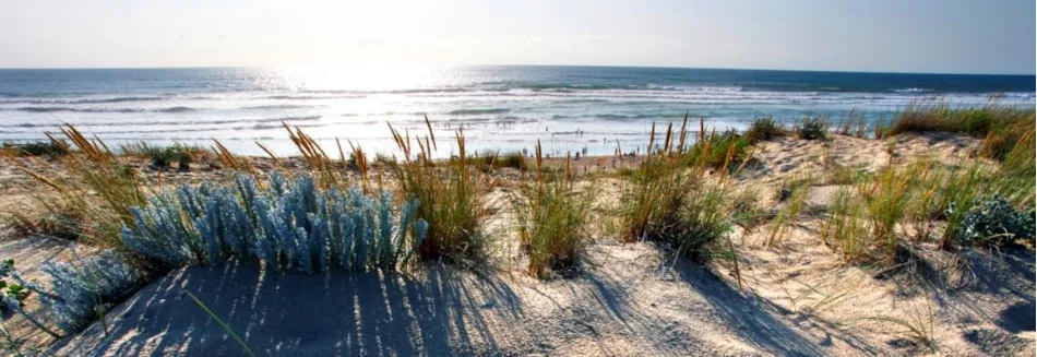 Camping Municipal Le Tatiou