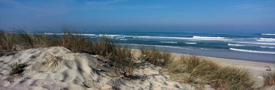 Camping Municipal Le Tatiou