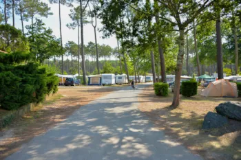 Stellplatz - : Pauschale Wanderer/Radfahrer - Ohne Fahrzeug - Camping Municipal Le Tatiou