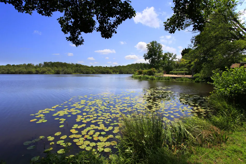 Camping Municipal Le Tatiou