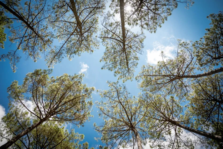 Camping Municipal Le Tatiou