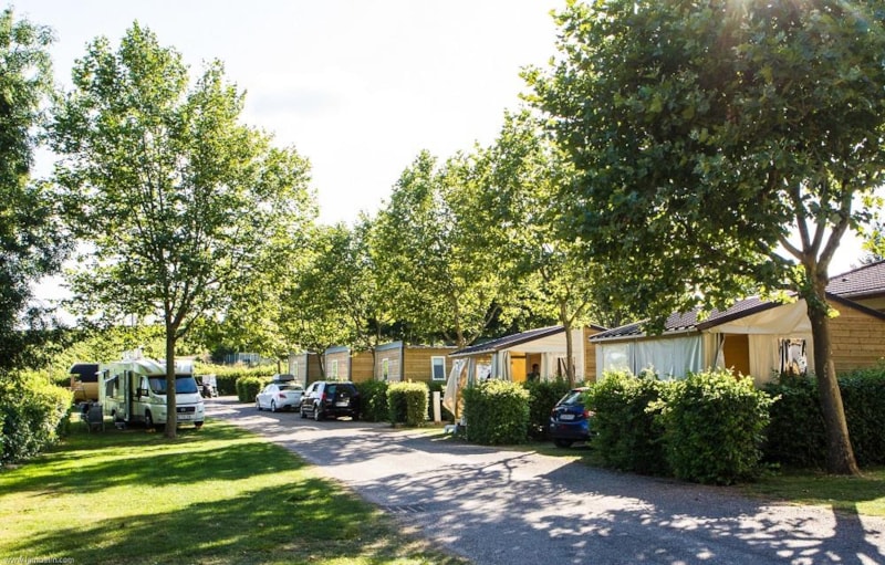 Camping La Grappe Fleurie - Camping - Fleurie