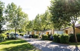 Camping La Grappe Fleurie - image n°1 - Roulottes