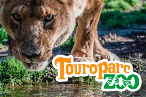 Huuraccommodatie(s) - All-Inclusive Familieweekend! - image n°7 - Camping La Grappe Fleurie
