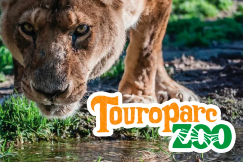 Week-End En Famille Tout Inclus !