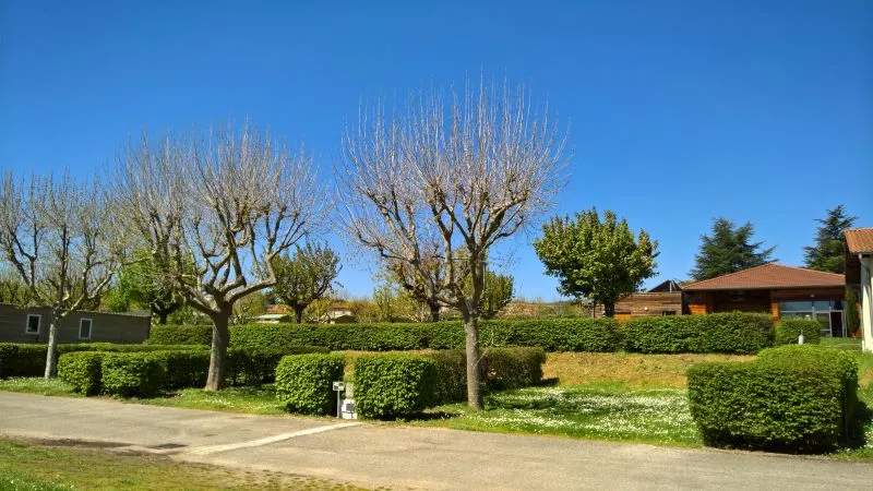 Emplacement Confort Avec Salle De Bain Privée