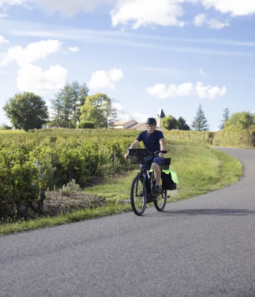 Pitch - Premium Pitch (Private Bathroom + Bike Hire + Wellness Access) - image n°5 - Camping La Grappe Fleurie
