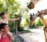 Foto #33 van Camping La Grappe Fleurie