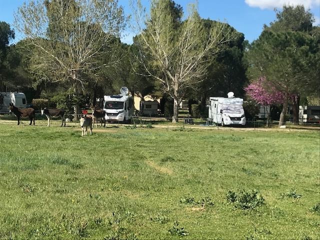 Camping Les Casteillets — Photo 4