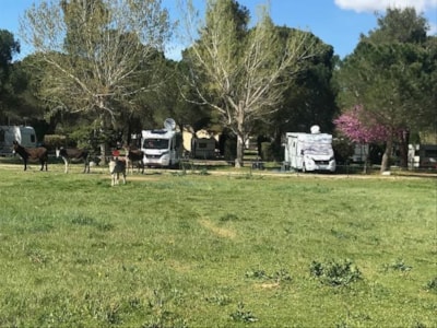 Camping Les Casteillets