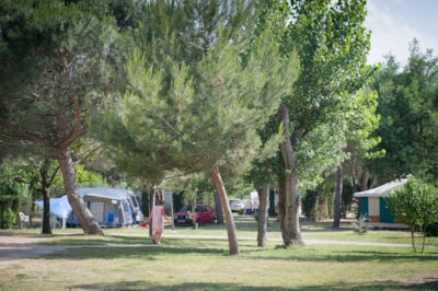 Pitch + vehicle — 2