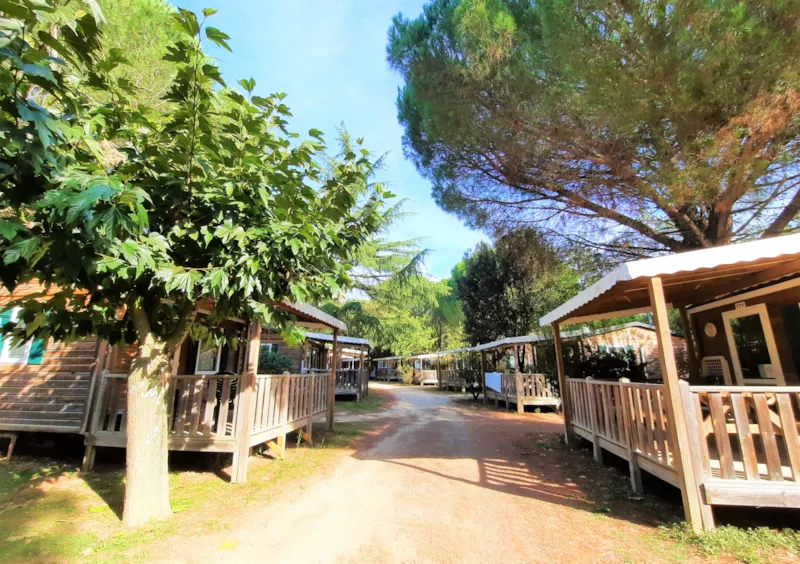 Chalet Confort 16 M² - 1 Chambre - Climatisation (Possibilité Couchage D'appoint)