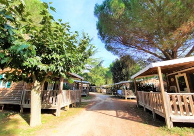 Chalet Confort 16 m² - 1 bedroom - air-conditioning (possibility of extra bed) — 7