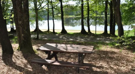 Domaine du Moulin Neuf - Terres de France - image n°3 - Camping Direct