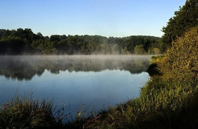 Domaine du Moulin Neuf - Terres de France