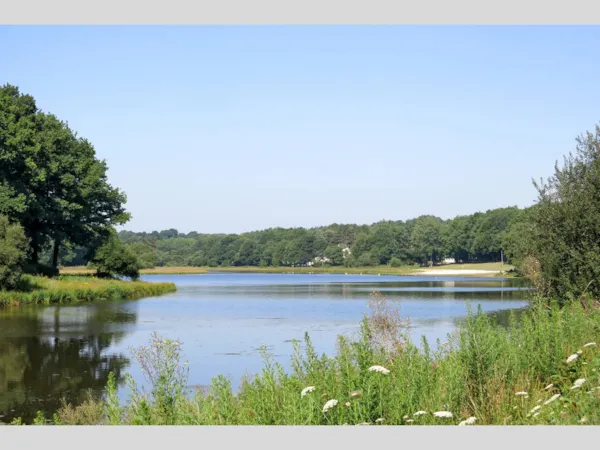 Domaine du Moulin Neuf - Terres de France - image n°1 - Camping Direct