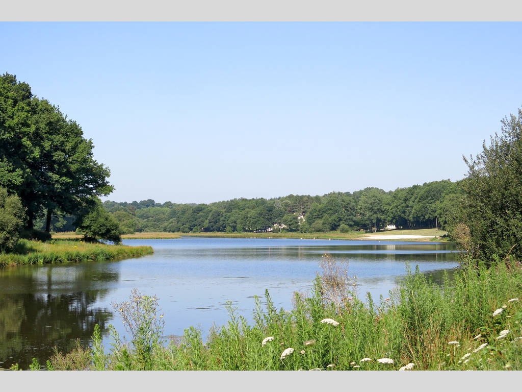 Domaine du Moulin Neuf - Terres de France — Photo 1