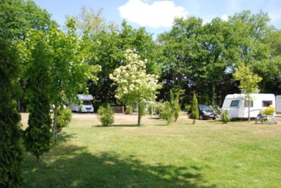 Pitch with car + tent, caravan or camping-car + electricity 10 A + 2 adults included