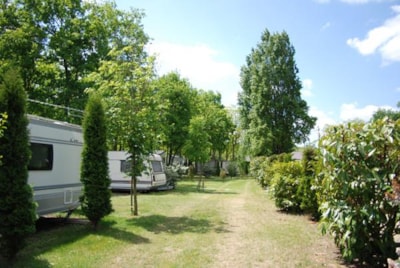 Pitch with car + tent, caravan or camping-car + electricity 10 A + 2 adults included