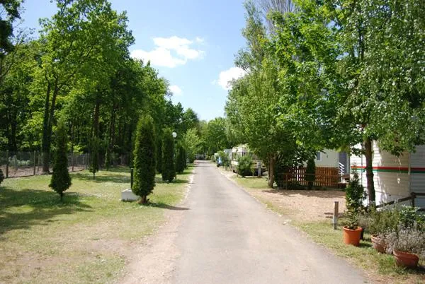 Emplacement Voiture Avec Caravane, Tente Ou Camping-Car + 2 Adultes Inclus + Électricité 10 A